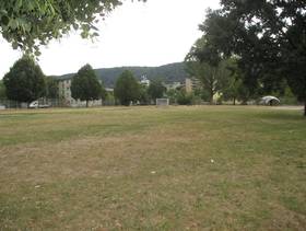 Ein großer Rasenplatz, im Hintergrund ein Fussballtor