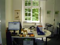Auf dem Bild sieht man einen Schreibtisch mit den üblichen Büroutensilien und einem Computerbildschirm mit Tastatur, im Hintergrund ist ein Fenster, Wände mit verschiedenen Bildern, sowie ein Kopiergerät