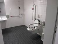 Raum mit Hängetoilette und Haltegriffen rechts und links, die Wände sind hell der Boden kontrastierend dazu ist dunkel, links von der Toilette ist der Duschbereich mit Handbrause und Haltegriff, links von der Dusche ist ein Waschbecken mit Spiegel