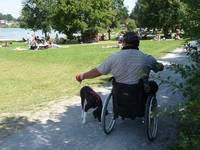 Das Bild zeigt einen Rollstuhlfahrer mit Hund in Höhe der Liegewiese