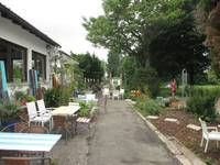 Asphaltierter Weg, links ist das Restaurant Ginger Blue  mit Tischen und Stühlen. Rechts ist ein bepflanztes Gelände, im HIntergrund Bouleanlage