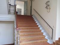 mit Teppich belegte Stufen, rechts an Wand montierter Handlauf, am Ende der Treppe offenstehende Tür zu Flur mir Wartebereich 