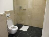 Ein Raum mit links an der Wand einem Hänge-WC, geradeaus eine ebenerdige Dusche abgetrennet durch eine Scheibe, rechts ist der schmale Zugang in die Duschkabine 