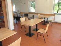 Heller offener Raum mit mehreren freistehenden unterfahrbaren Tische in heller Holzoptik mit hellen Holzstühlen. Im Hintergrund drei Fenster 