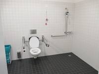 Raum mit Hängetoilette und Haltegriffen rechts und links, die Wände sind hell der Boden kontrastierend dazu ist dunkel, rechts von der Toilette ist der ebenerdige Duschbereich mit Handbrause und Haltegriff